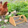 Interactive Chicken Perch with Mirror view 2