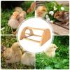 Interactive Chicken Perch with Mirror view 3