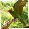 Toyvian 2-Piece Elastic Parrot Leashes for Outdoor Bird Training view 3