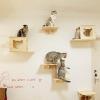 CXLXBRZD Cat Climbing Wall Set with Sisal Scratching Posts view 2