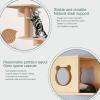 CXLXBRZD Cat Climbing Wall Set with Sisal Scratching Posts view 3