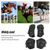 SIXRUN Premium Horse Tendon Boots Set, Open-Front Design (L, 1500 ml) view 2