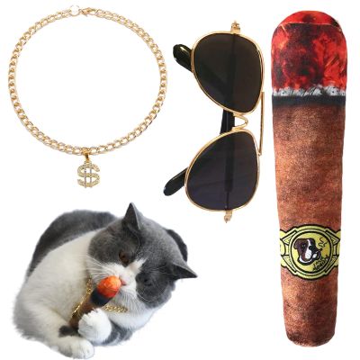 Pet Hip Hop Costume Set