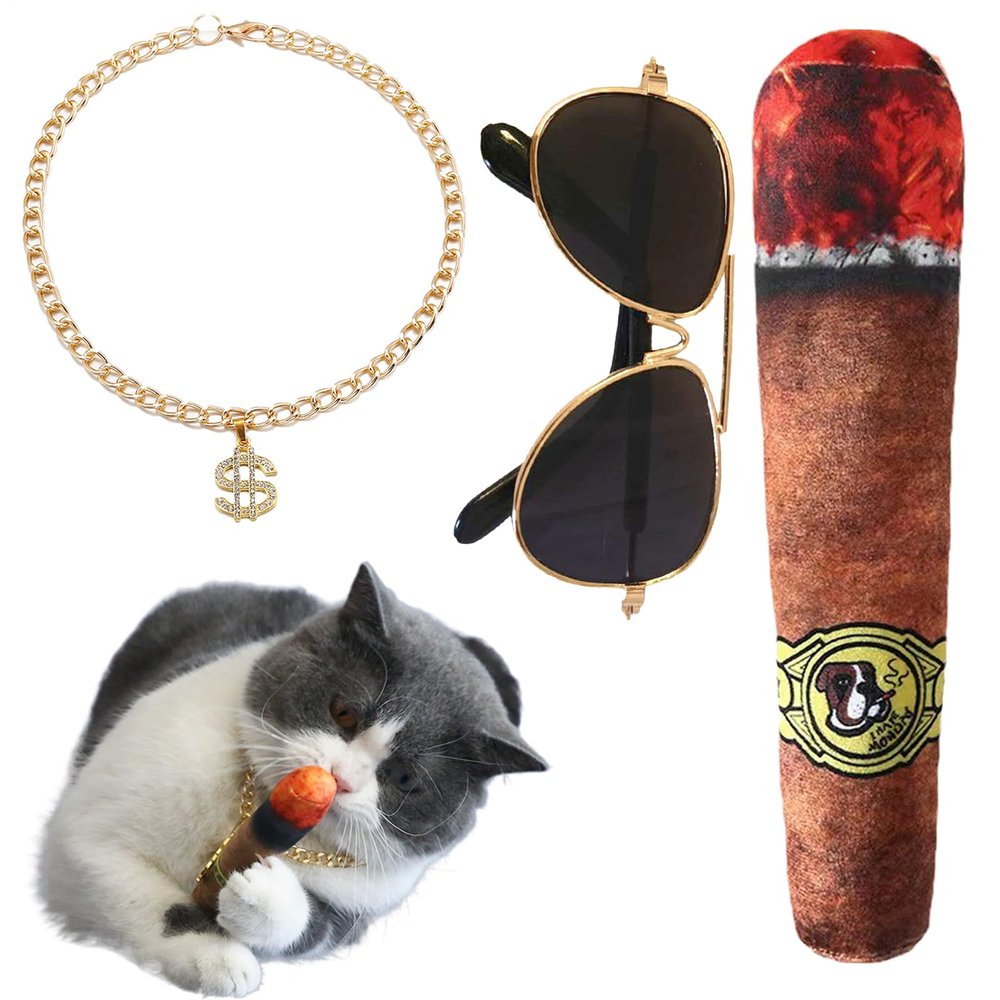 Pet Hip Hop Costume Set