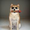 Pet Hip Hop Costume Set view 3