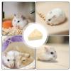 Generic Hamster Tooth Grinding Stone view 4