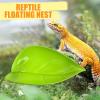 Frog Bathing Platform for Terrariums view 3