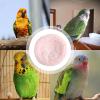 Cotton Bird Nest view 4