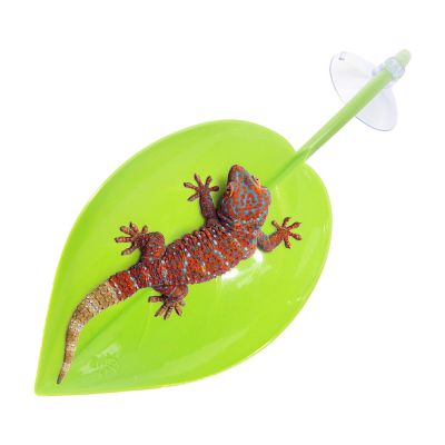 Frog Sun Platform - Climbing Rest, Leaf-Shaped Decoration for Amphibians and Reptiles