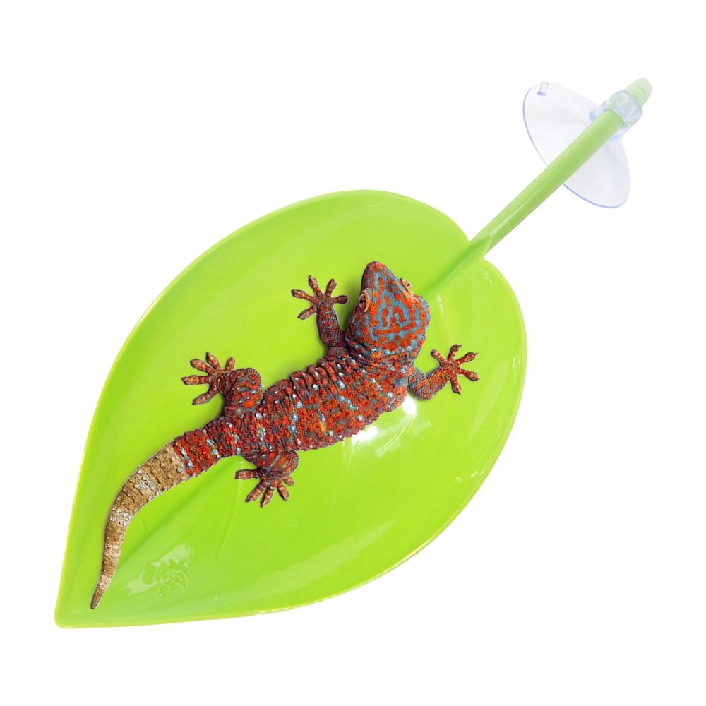 Frog Sun Platform - Climbing Rest, Leaf-Shaped Decoration for Amphibians and Reptiles