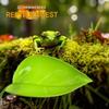 Frog Sun Platform - Climbing Rest, Leaf-Shaped Decoration for Amphibians and Reptiles view 2