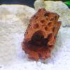 Generic Aquarium Hides | Stable Breeding Hide view 3