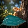 Frog Sun Platform for Terrariums view 3