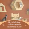 Indoor Wooden Cat House & Climbing Wall, 50 x 23 x 45 cm view 4