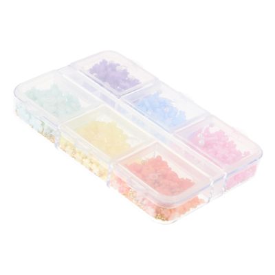 SAFIGLE Resin Flower Nail Charms, 1 Case, 6 Compartments, 3D Flowers for DIY Manicures