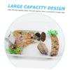 ifundom Reptile Tank for Turtles with Drying Platform view 3
