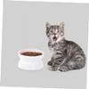CIYODO Non-Slip Pet Bowl for Cats and Dogs view 2