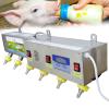 Piglet and Lamb Feeder, Universal Nursing Feeder for Lambs, Stainless Steel Feeder with Constant Temperature, 6 Automatic Nipples with Sound Simulation view 1
