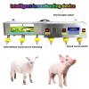Piglet and Lamb Feeder, Universal Nursing Feeder for Lambs, Stainless Steel Feeder with Constant Temperature, 6 Automatic Nipples with Sound Simulation view 4