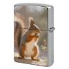 Funny Squirrel Animal Lighter Case, Waterproof Lighter Sleeve with Graffiti Design view 1