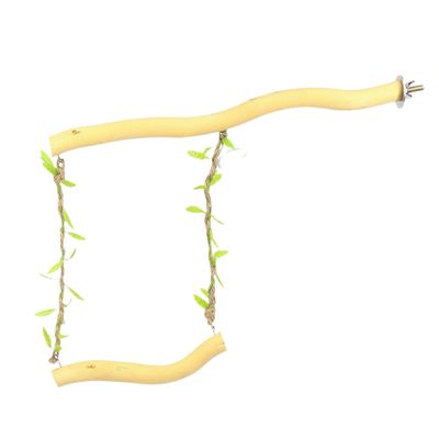 Birdcage Swing - Fun Toy for Birds