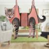 Cat Nail Clipping Restraint – Pet Grooming Holder view 3