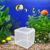 Fischzuchtbasel Aquarium Breeding Box view 2