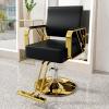 Salon Barber Chair with 360° Swivel, Adjustable Height, Ergonomic Backrest and Hydraulic Pump, Black view 1