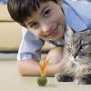 Catnip Balls for Kittens view 3