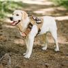 Military Tactical Nylon Dog Harness, Collar and Leash with Control Handle, Reflective Outdoor Set for Large Dogs, Black, S view 4