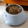 Cat Water Bowl - Tilted Non-Slip Feeding Dish view 3
