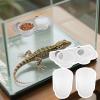 Reptile Feeding Station view 3