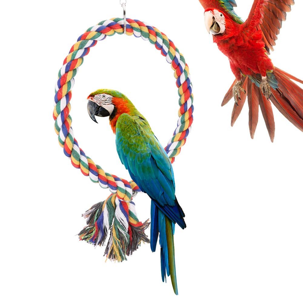 Bird Rope Toy - Colorful Climbing Ring
