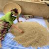 Terrific Coffee Robusta Green Coffee Beans from Cameroon, Direct Trade, 1,000 g view 2