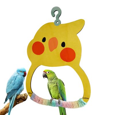 Bird Swing for Parakeet Cage