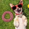 Durable Dog Rope Toy for Strong Chewers view 3