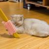 Cat Corner Scratcher view 2