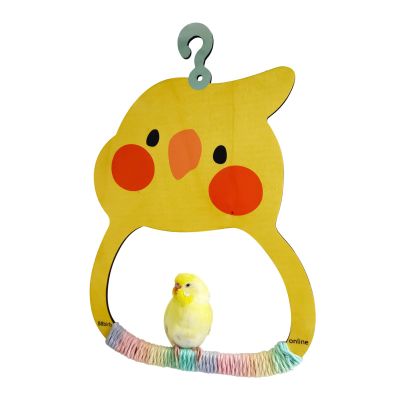 Bird Swing Toy for Budgie Cages