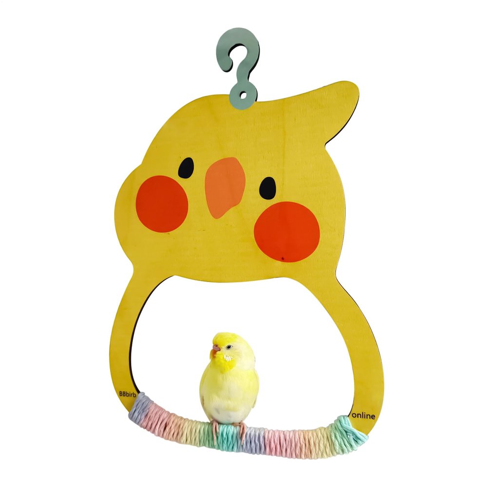 Bird Swing Toy for Budgie Cages