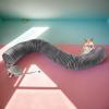 Ferret Tunnel - Adventure Play Paradise view 3
