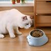Non-Slip Weighted Cat Bowl with Elevated Angled Design view 2