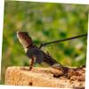 TOYANDONA Adjustable Lizard Leash for Bearded Dragons and Geckos view 3