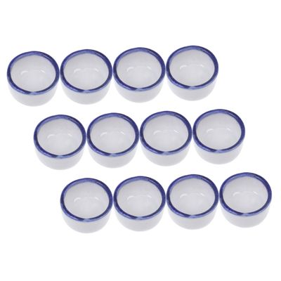 ibasenice 12-Piece Ceramic Water Bowls for Reptiles and Tarantulas, Blue