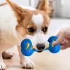 Gungtj Puppy Chew Toy view 4