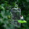 Goowafur Bird Perch for Cages view 2
