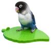 Bird Perch - Leaf Design for Cages view 1