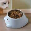 Angled Cat Drinking Bowl and Dog Food & Water Bowl view 2