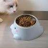 Angled Cat Drinking Bowl and Dog Food & Water Bowl view 3