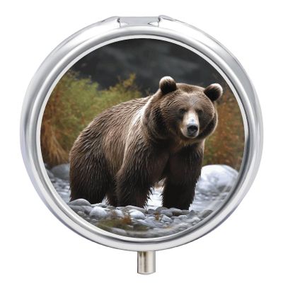 Portable Brown Bear Pill Case, Cute Organizer for Vitamins