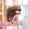 Bird Cage Perch and Chew Stand view 3